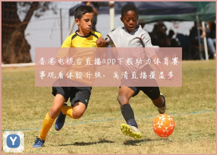 香港电视台直播app下载助力体育赛事观看体验升级，高清直播覆盖多场焦点比赛