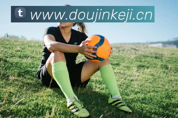 华体在线登录官网APP 封面图